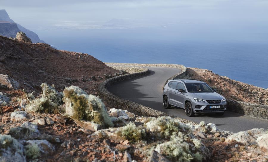  Cupra Ateca Limited Edition 2019 года  (WW) (фото 18 из 40)